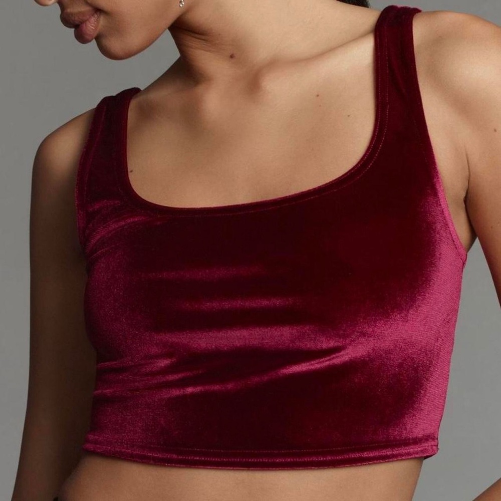 Anthropologie Velvet Wine Crop Top